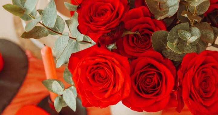 Flores